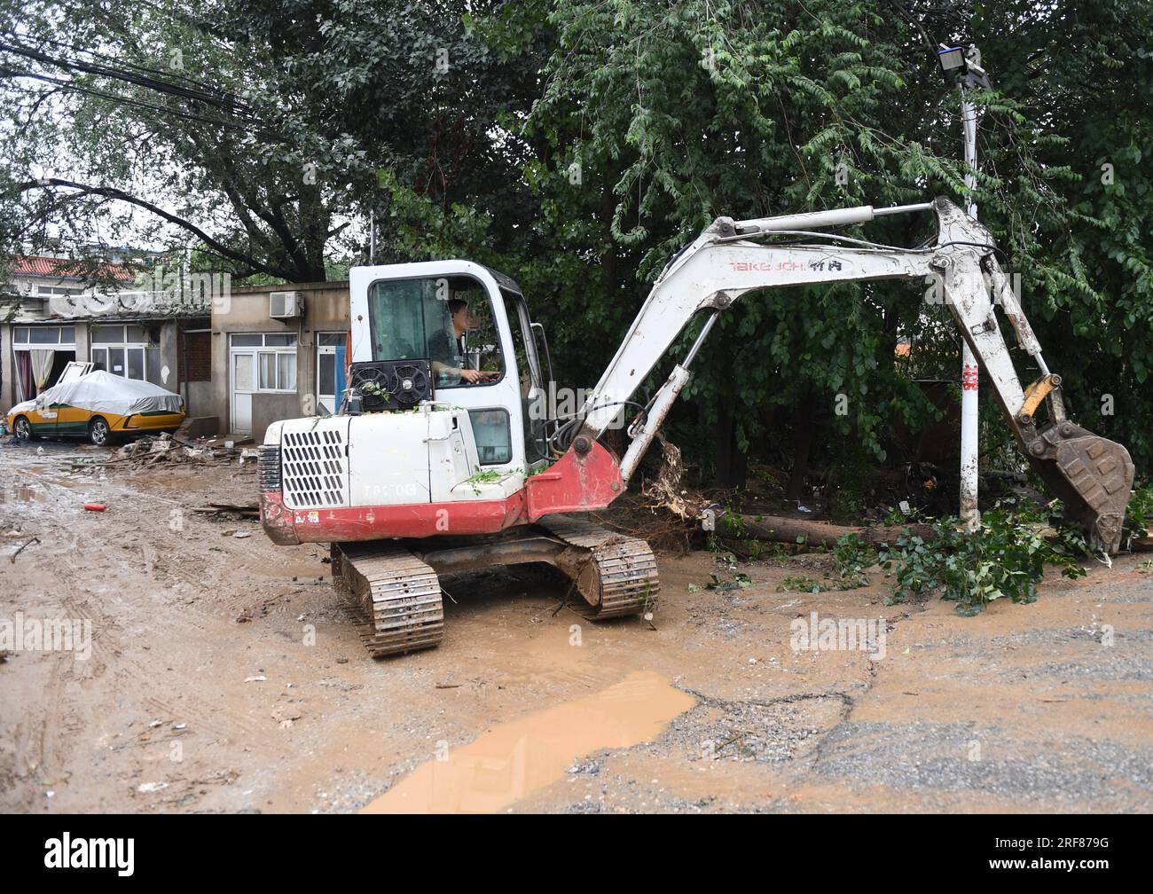 Beijing, China. 1st Aug, 2023. A staff member moves away a tree uprooted in a recent flood in Shangwan Village of Qinglonghu Town, Fangshan District, Beijing, capital of China, Aug. 1, 2023. Several districts in the city, including the hardest-hit Fangshan and Mentougou, maintained the highest-level alert for flood control on Tuesday, as downpours will continue, the city's flood control authorities said. Credit: Zhang Chenlin/Xinhua/Alamy Live News Stock Photo