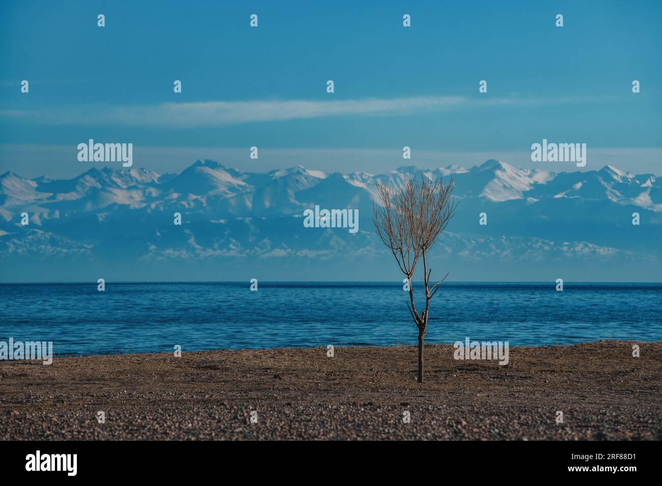 issyk-kul-lake-the-crown-jewel-of-kyrgyzstan-silk-road-treasure-tours