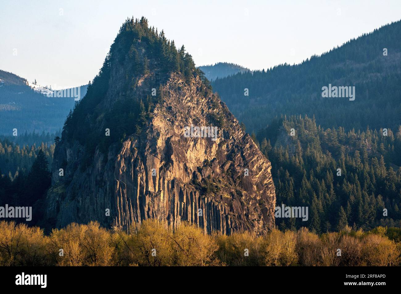 Beacon rock stands above the Columbia River in Washington State. Stock Photo