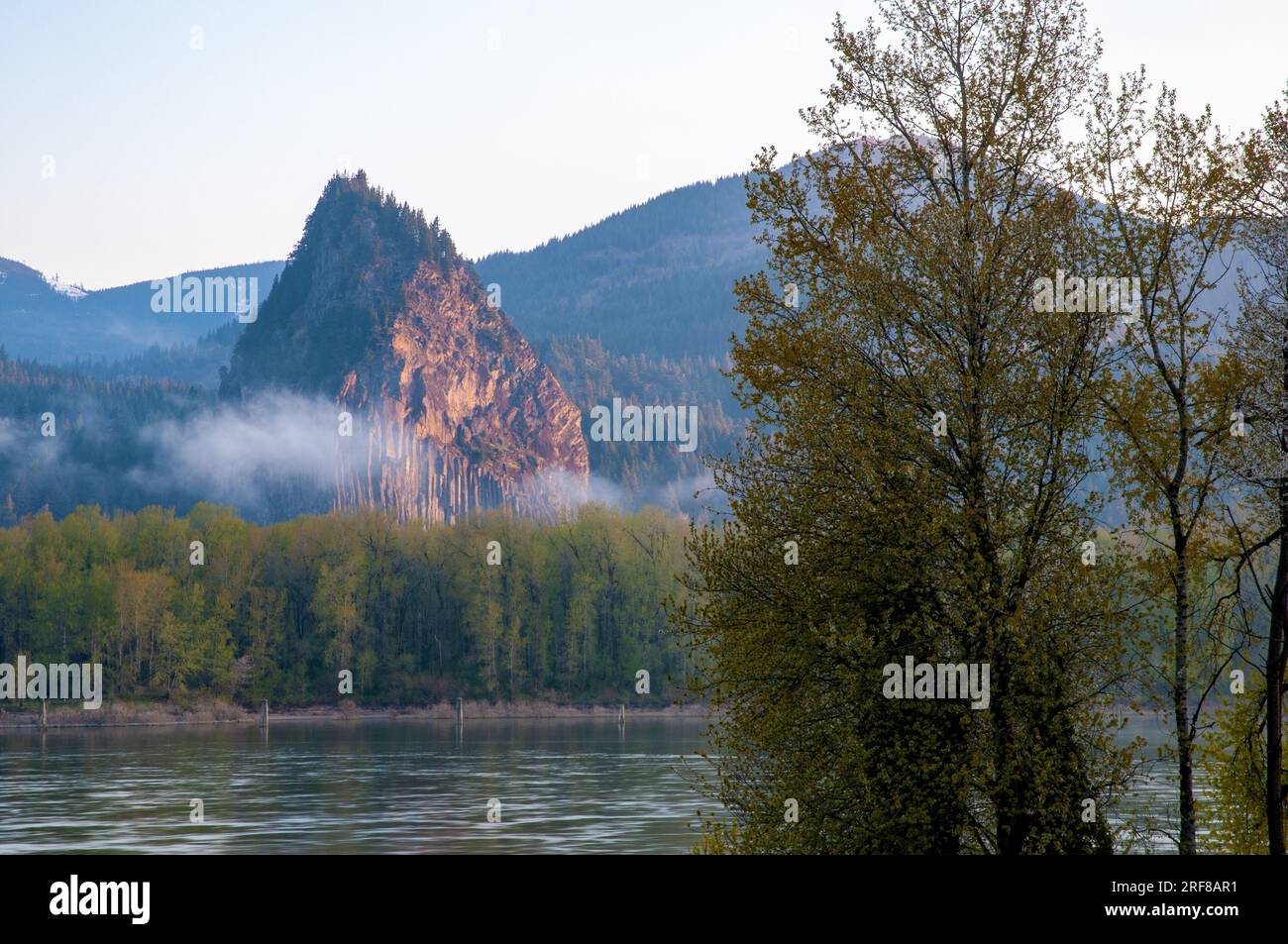 Beacon rock stands above the Columbia River in Washington State. Stock Photo