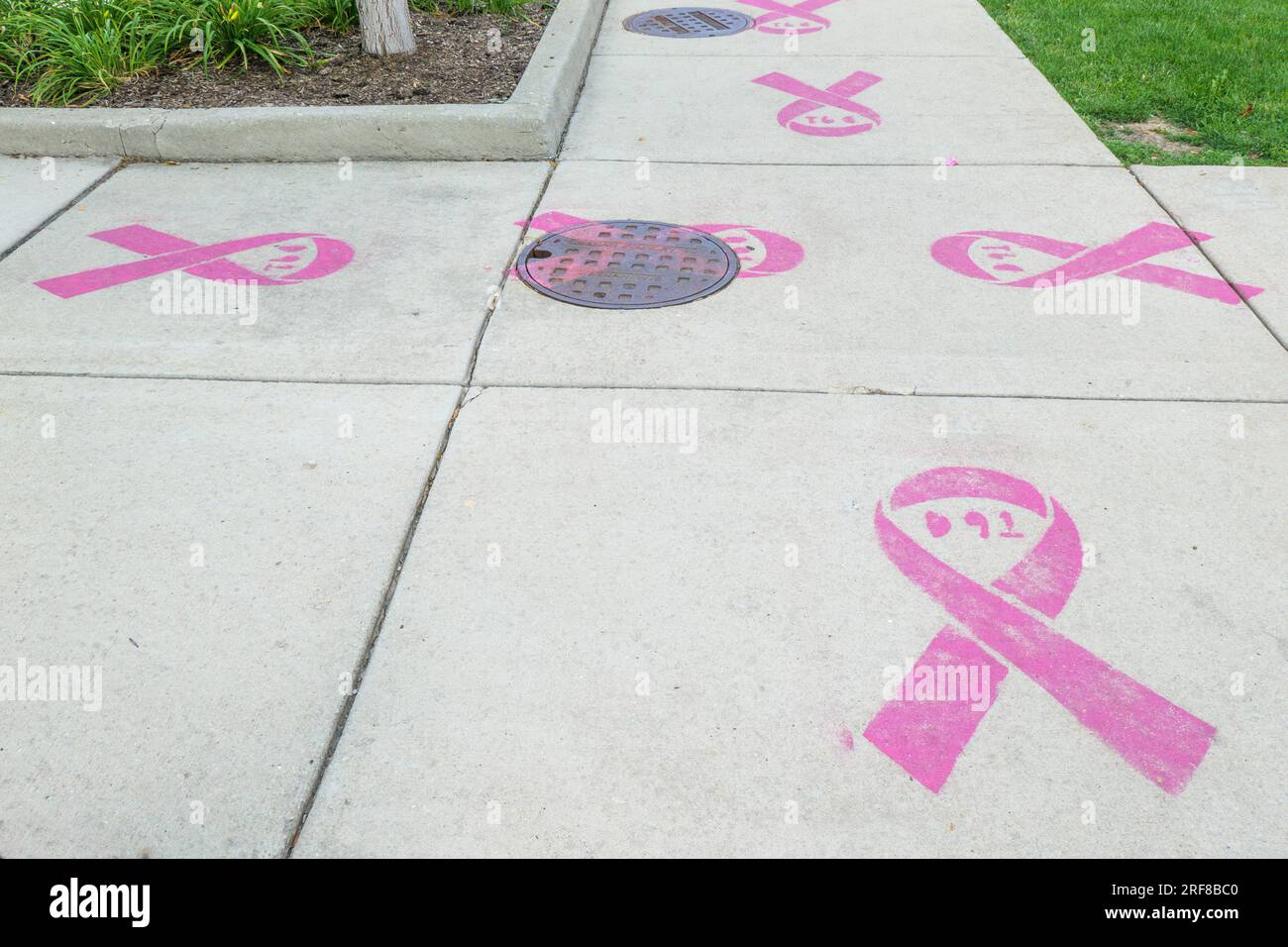 Breast cancer awareness pink ribbons painted on sidewalk. Forest Park, Illinois. Stock Photo
