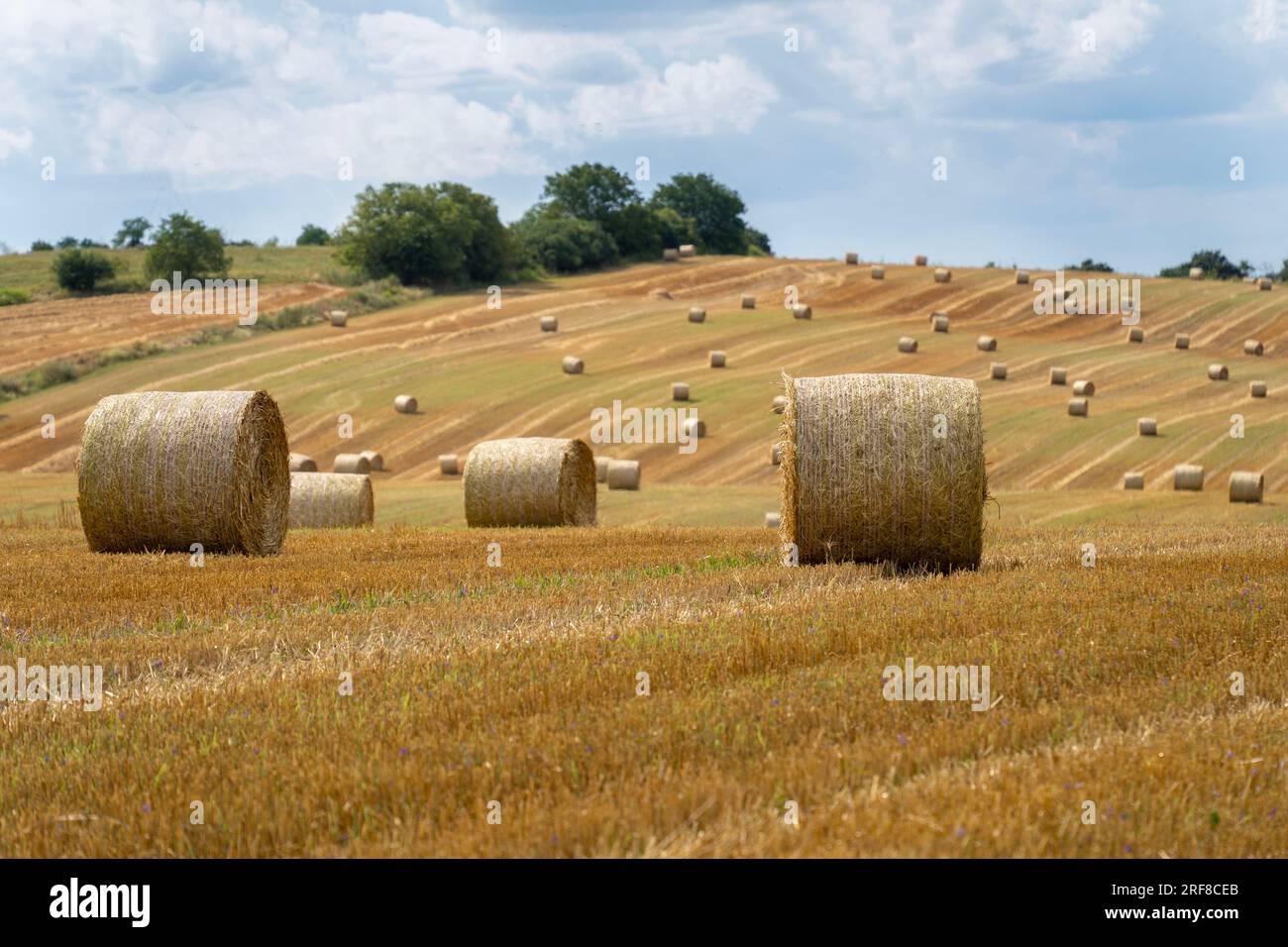 Straw bales in the summer sun on a hillside in Hungary Stock Photo - Alamy
