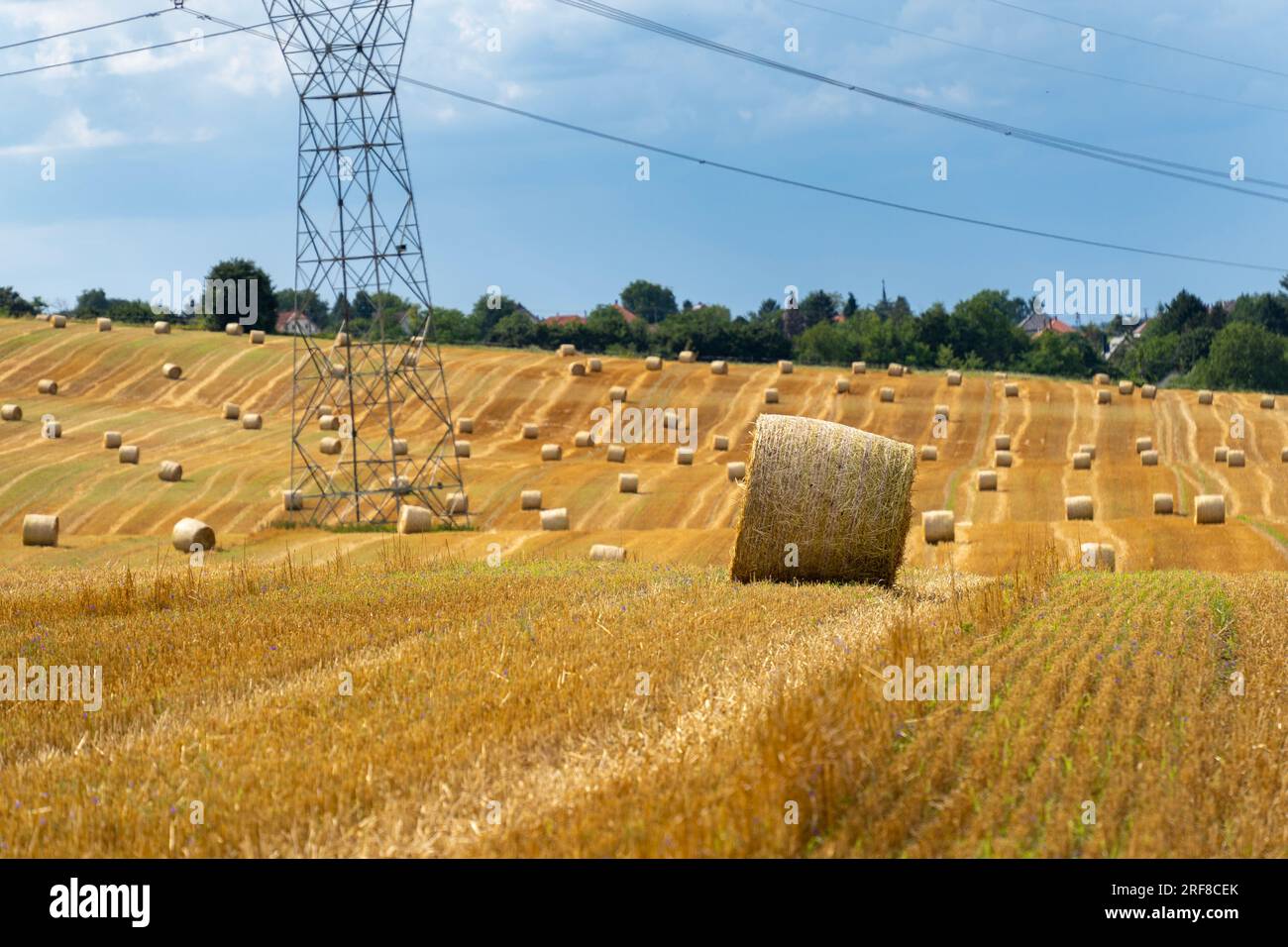 Straw bales in the summer sun on a hillside in Hungary Stock Photo - Alamy
