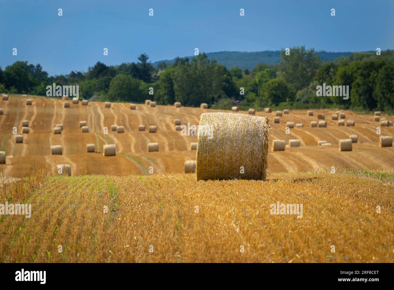 Straw bales in the summer sun on a hillside in Hungary Stock Photo - Alamy