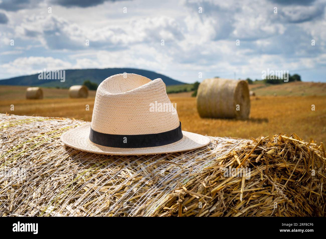White straw hi-res stock photography and images - Alamy