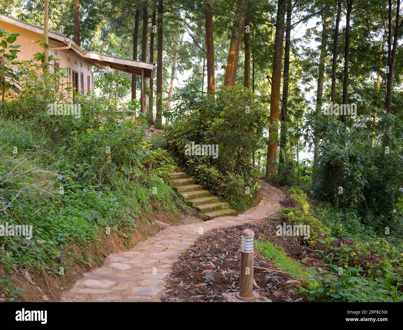 A small stone path leading through a tropical forest past a wooden hut Stock Photo