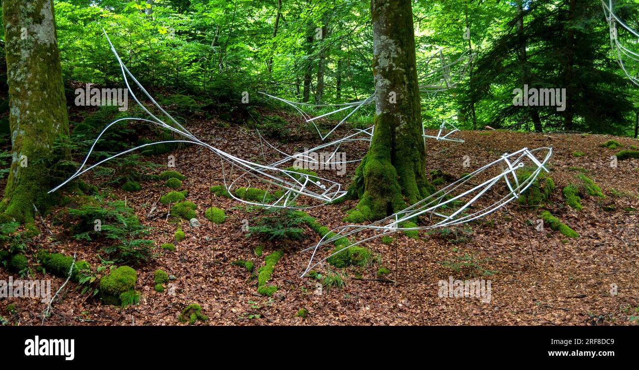 Horizons 'Arts-Nature' 2023 in Sancy. Anadrome work by Camille Mansir. Puy de Dome. Auvergne Rhone Alpes. France Stock Photo