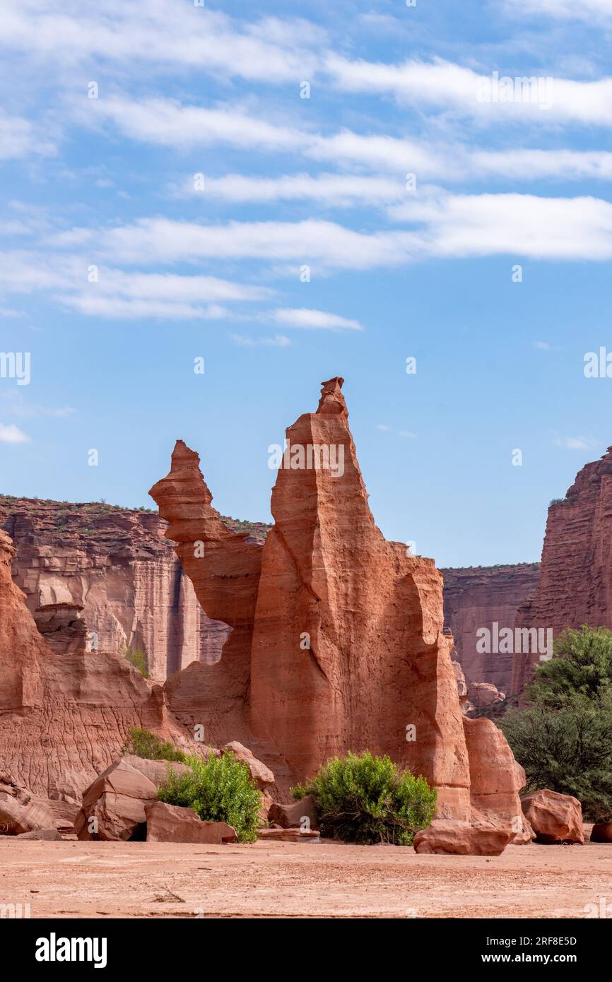 The Camel An Eroded Red Sandstone Feature In Talampaya National Park The Camel An Eroded Red Sandstone Feature In Talampaya National Park