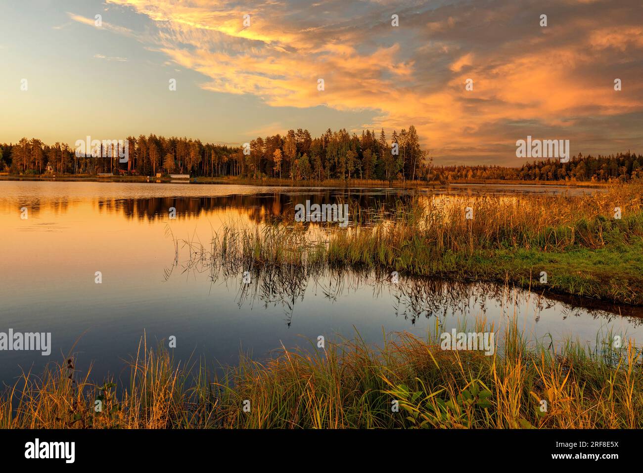 evening landscape of the lake in calm weather Stock Photo