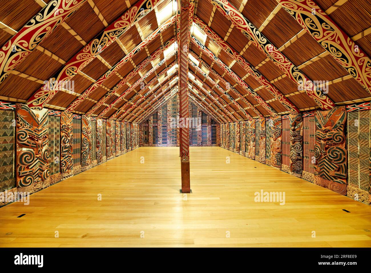 Auckland. New Zealand. Auckland War Memorial Museum. Maori Natural History Gallery Stock Photo