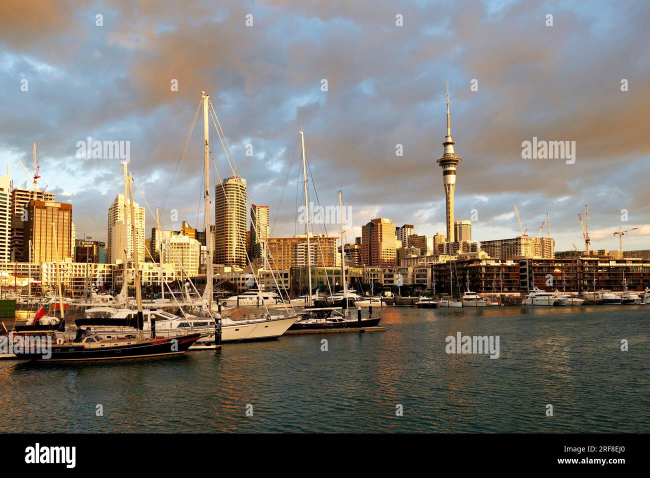 Auckland. New Zealand. The city skyline. View from Viaduct Harbour at sunset Stock Photo