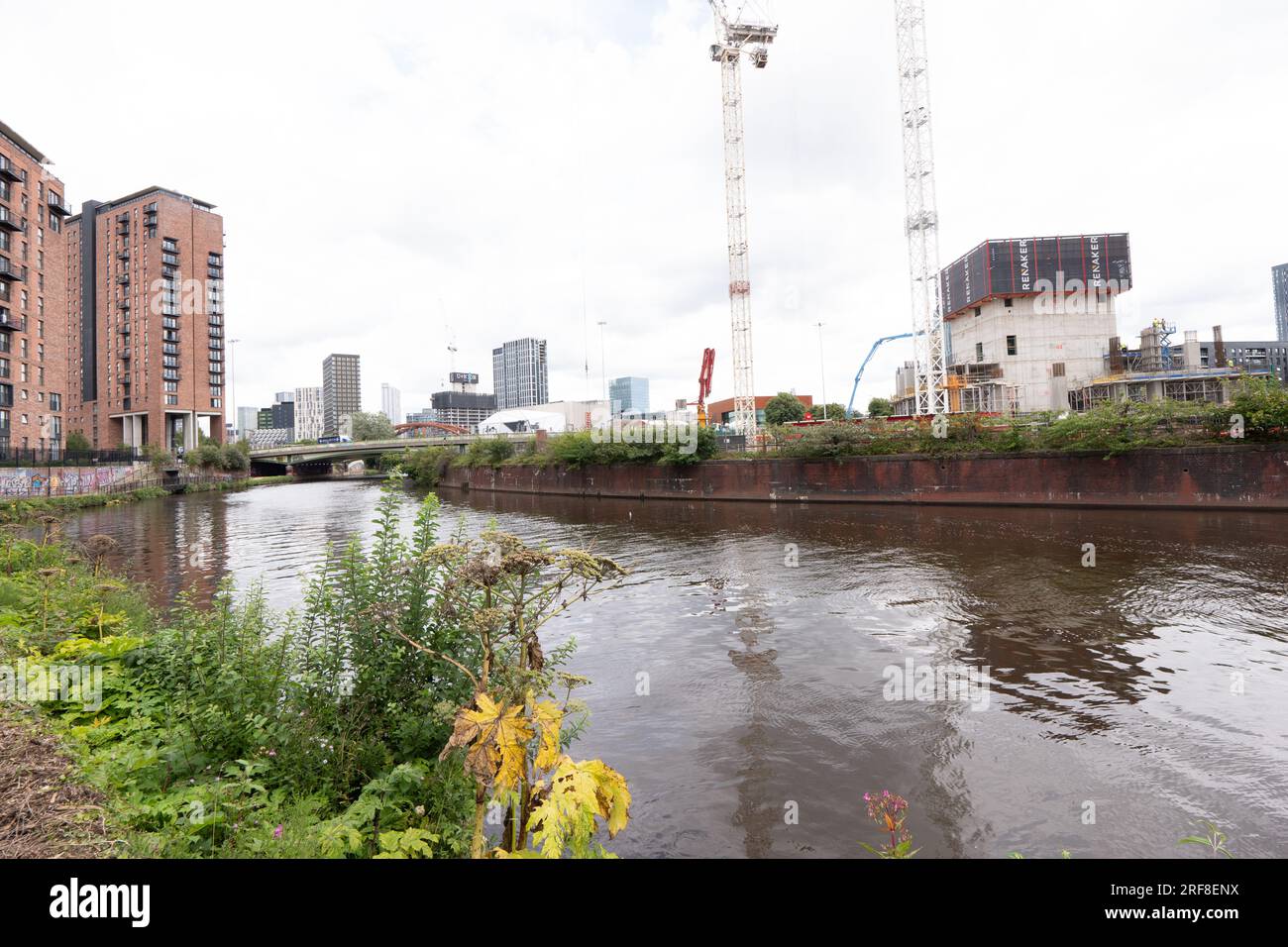 Urban development alongside the River Irwell, Salford, Borough of Greater Manchester. The river divides Salford and Manchester. Stock Photo