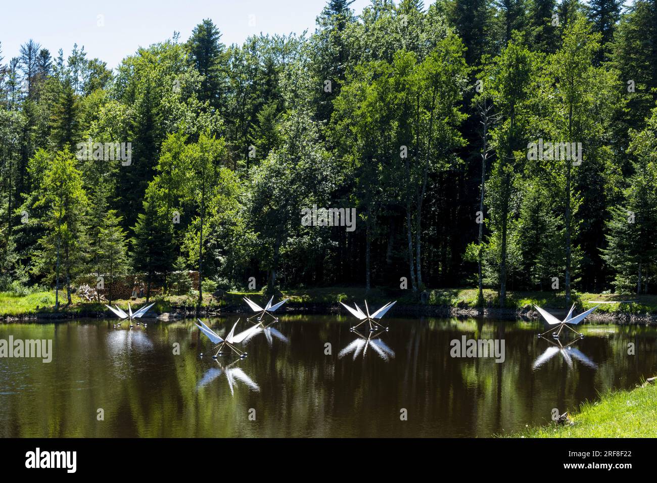 Horizons 'Arts-Nature' 2023 in Sancy. Ballet d'araignées d'eau work by D.Ferment and B.Tondellier. Puy de Dome. Auvergne Rhone Alpes. France Stock Photo