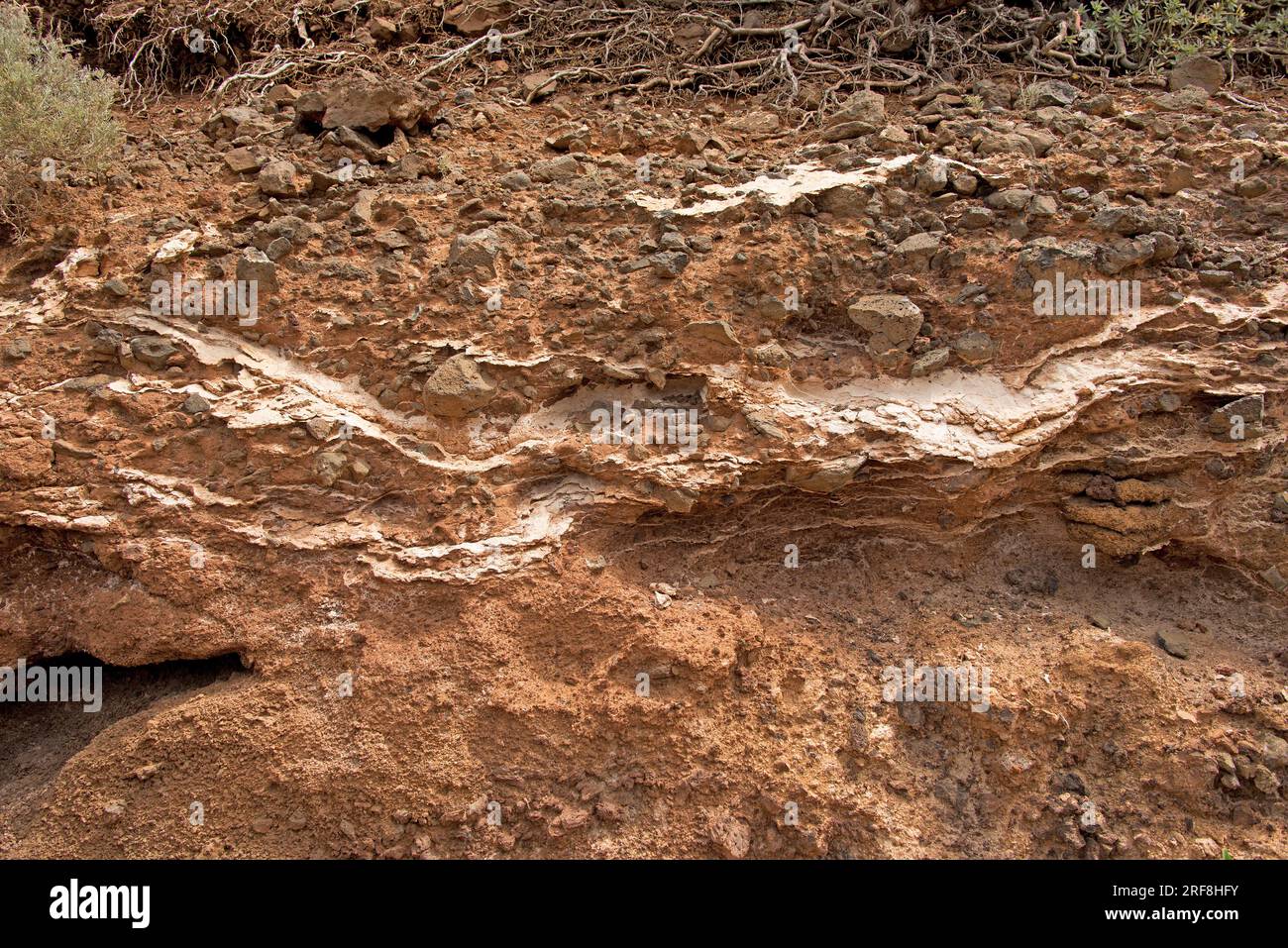 Caliche, calcrete, duricrust or hardpan is a calcium carbonate cement that precipitates between others soil materials. This photo was taken in La Palm Stock Photo