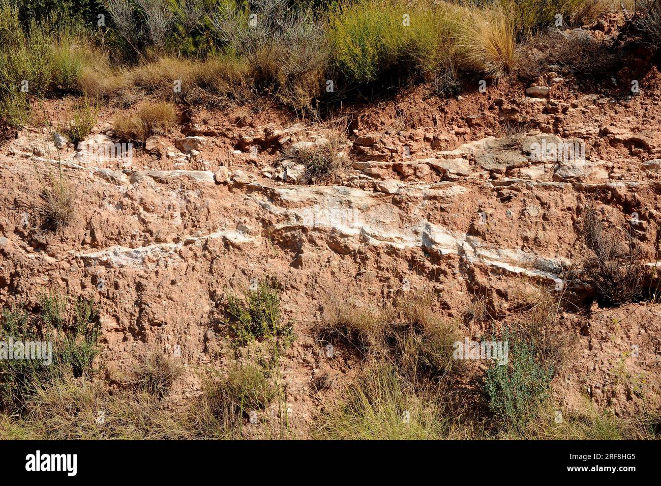 Caliche, calcrete, duricrust or hardpan is a calcium carbonate cement that precipitates between others soil materials. This photo was taken near Torto Stock Photo