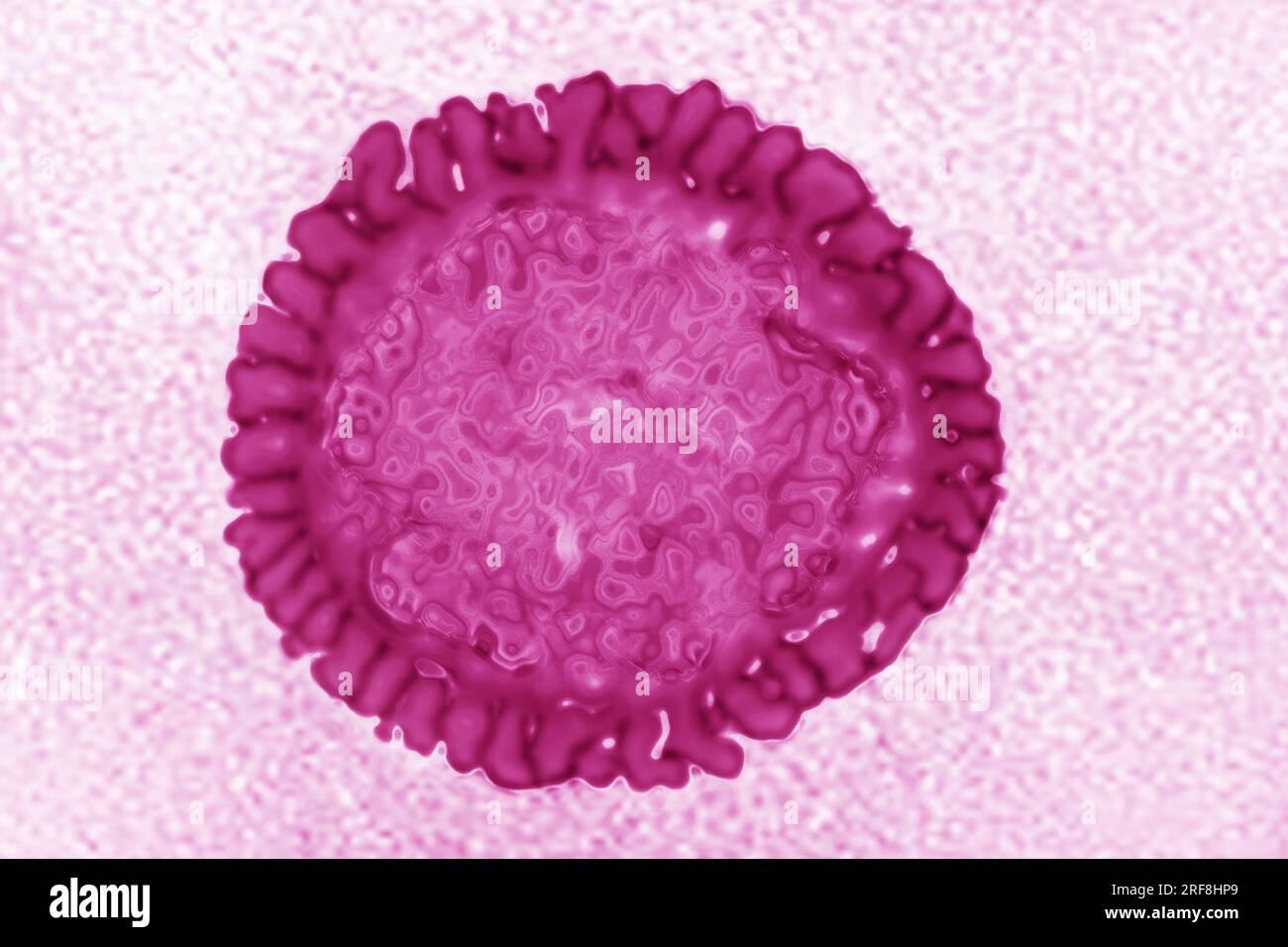 Influenza virus of the Orthomyxoviridae family (respiratory viral infection). Transmission electron microscopy, viral diameter 80 to 120 nanometers. Stock Photo