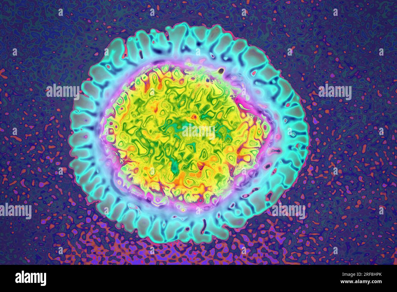 Influenza virus of the Orthomyxoviridae family (respiratory viral