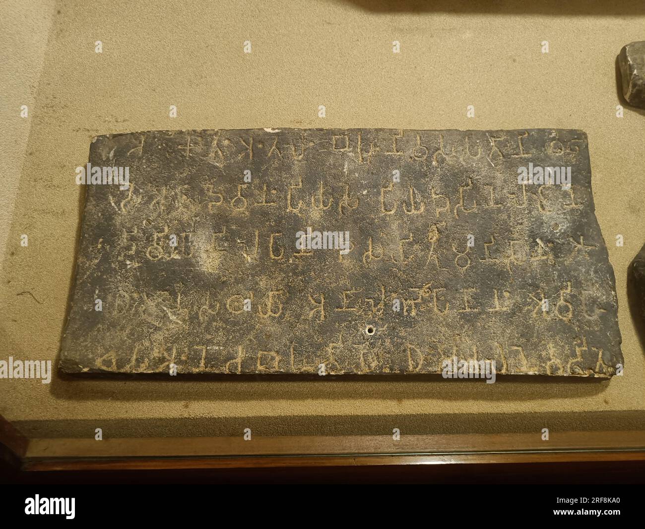 Ashokan inscription, 3rd century AD. Script Brahmi, Language Prakrit