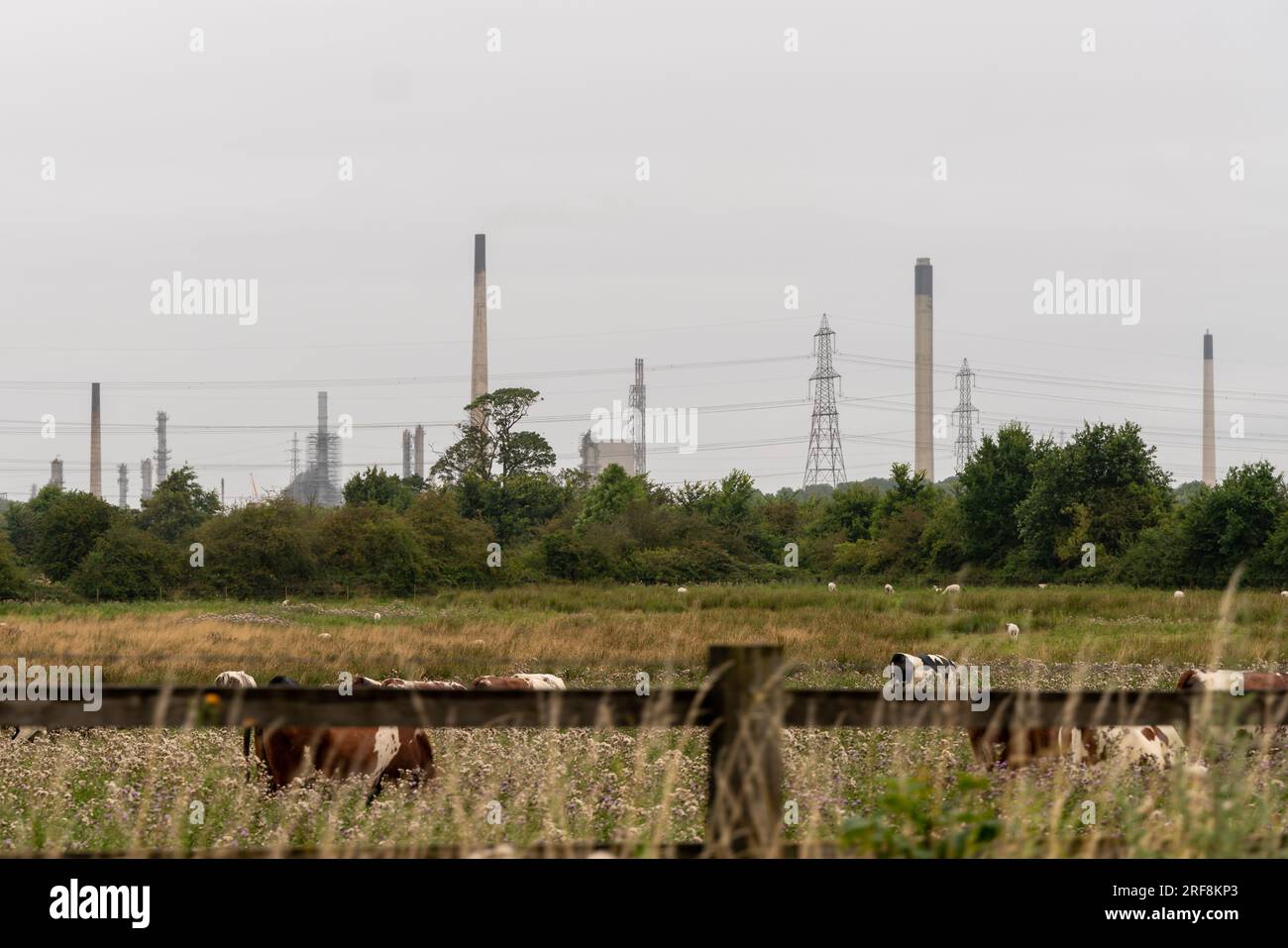Power plant pollution Stock Photo Alamy