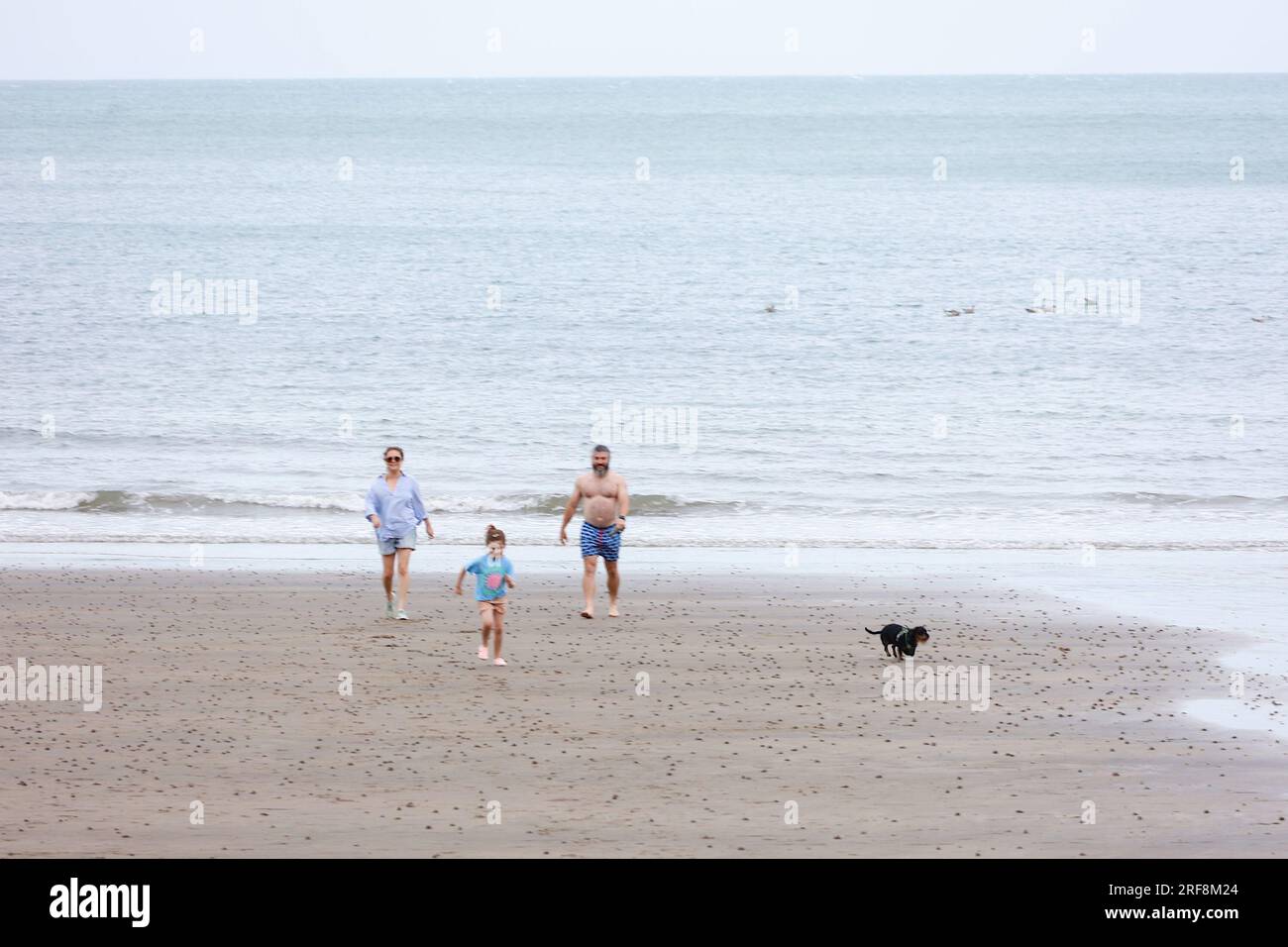 Shanklin, IOW, UK. 01 August, 2023. UK Weather: Visitors to Shanklin on the Isle of White enjoy a pleasant evening walk along the beach. Photo Credit: PAL News/Alamy Live News Stock Photo