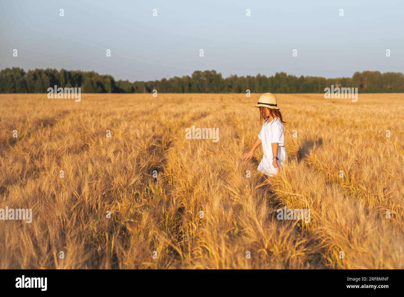 Lovely romantic walks hi-res stock photography and images - Alamy
