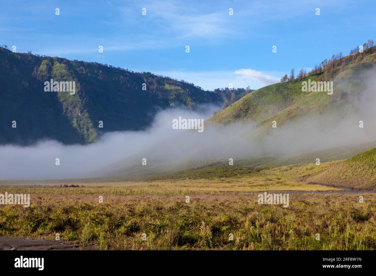 Clouds in green valley of Tengger caldera near Bromo volcano at Java island in Indonesia. Stock Photo