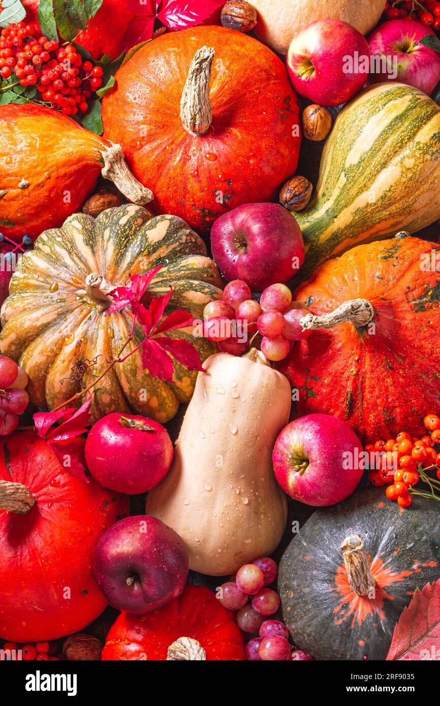 Autumn background with seasonal fruits and vegetables, top view, flat ...
