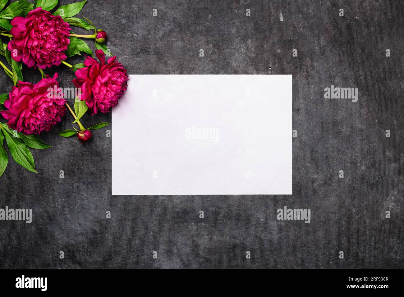 Greeting card with red peonies flowers and blank white paper on dark background, flat lay, top view. Holiday concept with copy space for text for your Stock Photo