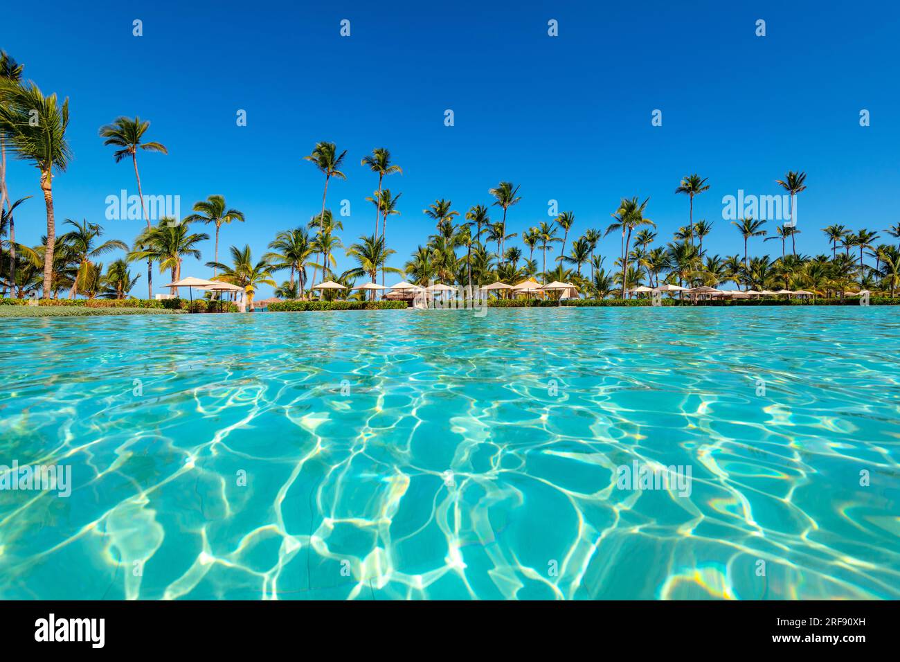 Swimming pool and palm trees in luxury resort at Punta Cana in the Dominican Republic Stock Photo