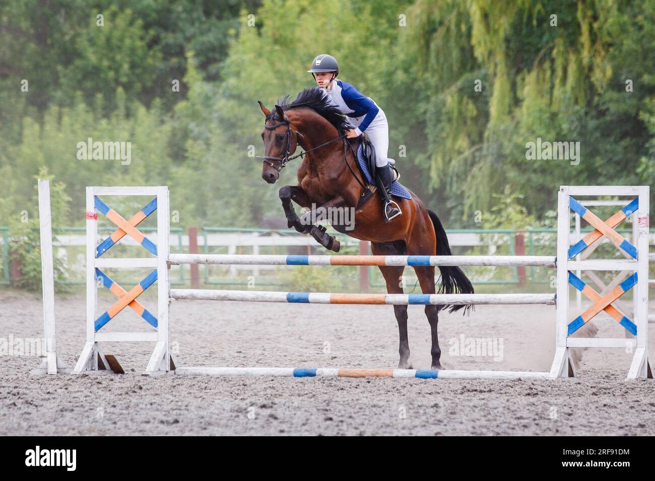Young Woman Riding Horseback Jumping Over The Hurdle On Showjumping young-woman-riding-horseback-jumping-over-the-hurdle-on-showjumping
