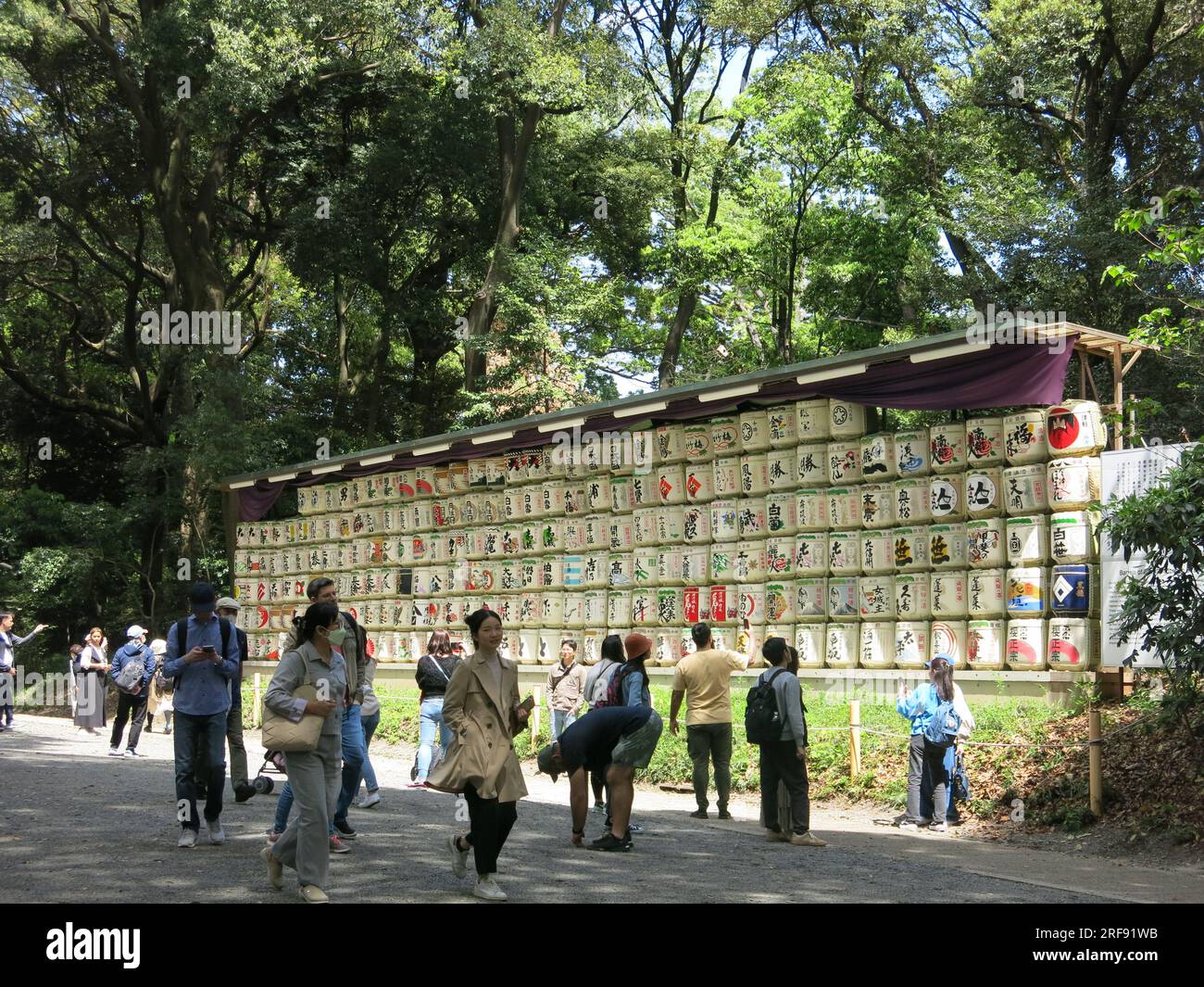 View of the main approach to the Meiji Jingu Shrine, Tokyo with the rows of sake barrels given as offerings by the brewing industry & Japanese people. Stock Photo