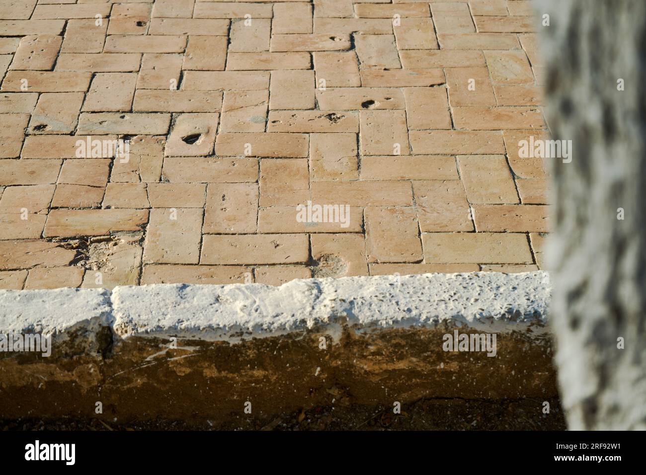 texture background from the pavement Stock Photo