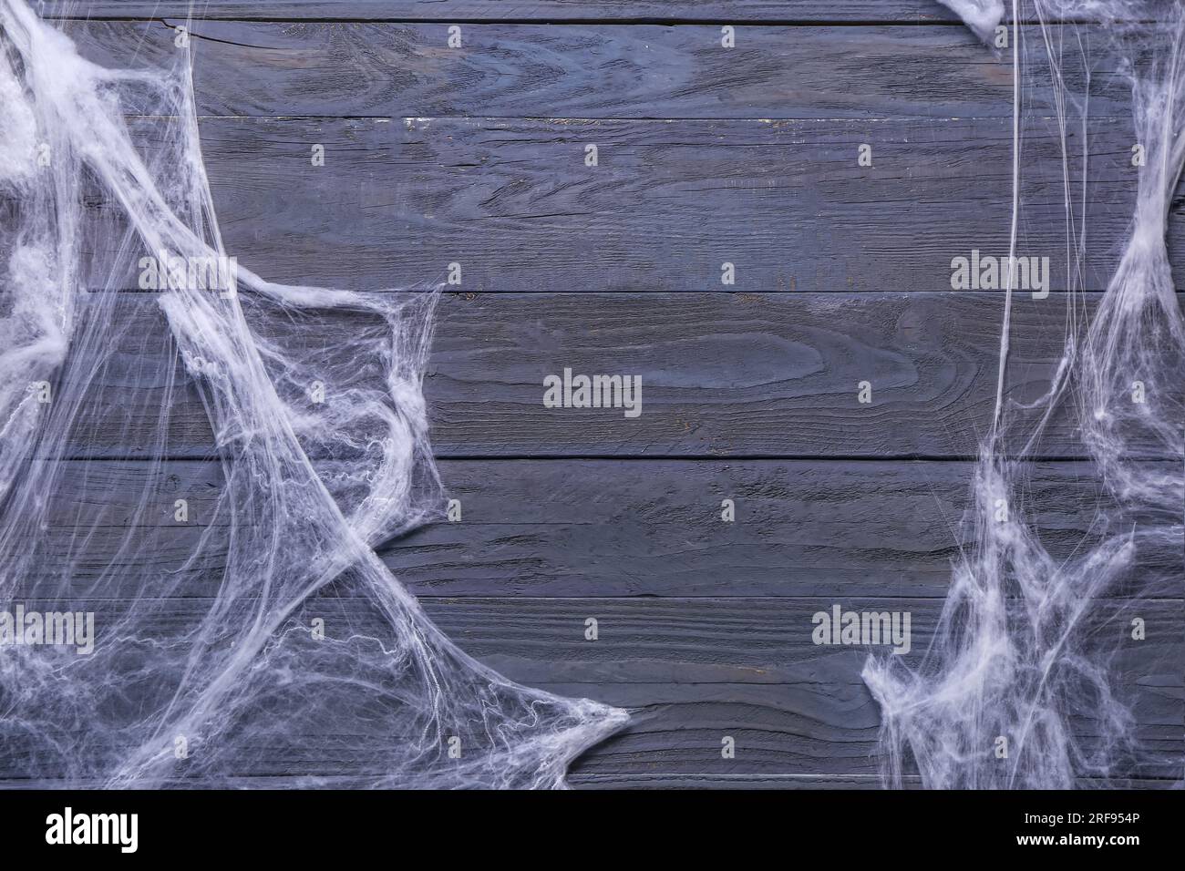 Spider web on blue wooden background. Halloween celebration Stock Photo