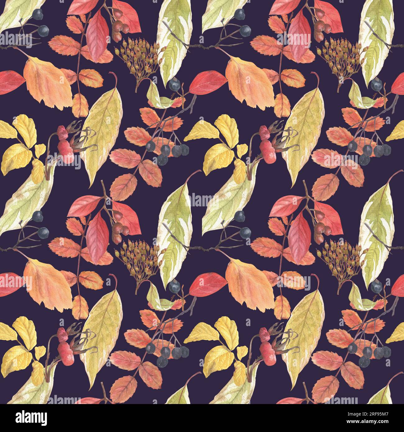 Seamless pattern of hand-drawn watercolor autumn leaves and berries. A ...
