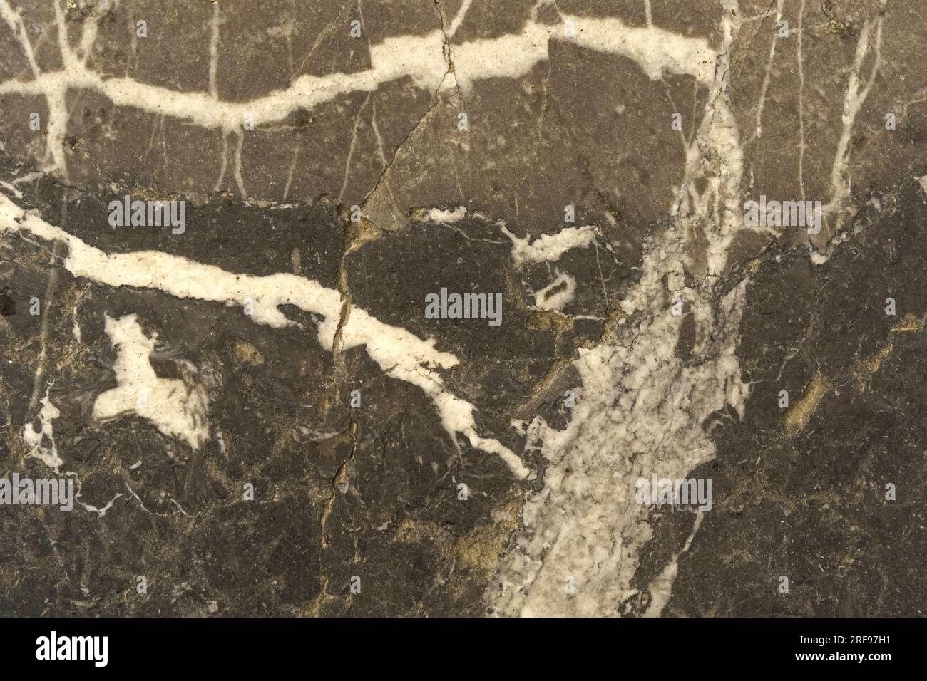 Texture of black marble with white veins Stock Photo Alamy