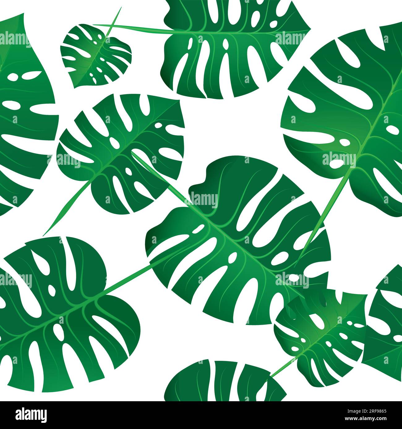 Tropic packing hi-res stock photography and images - Alamy