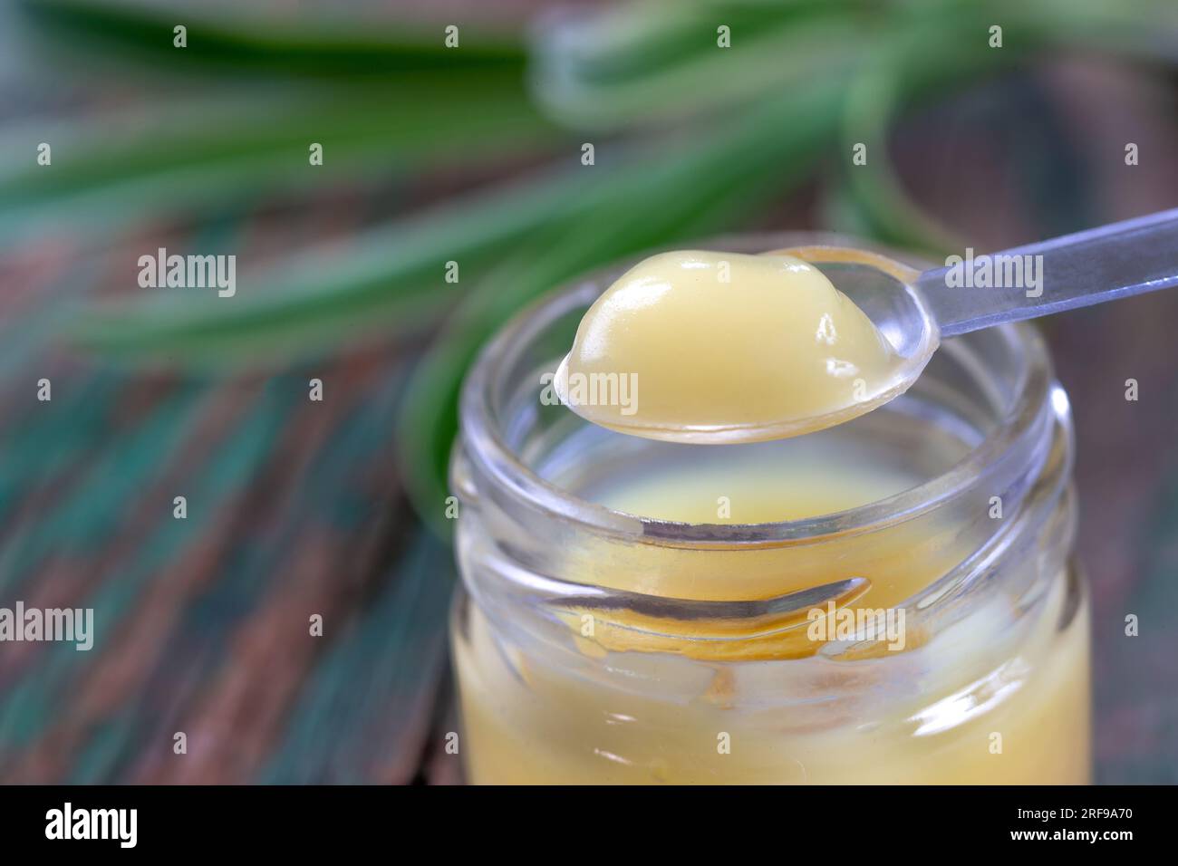 Spoon filled with royal jelly above the jar. Stock Photo