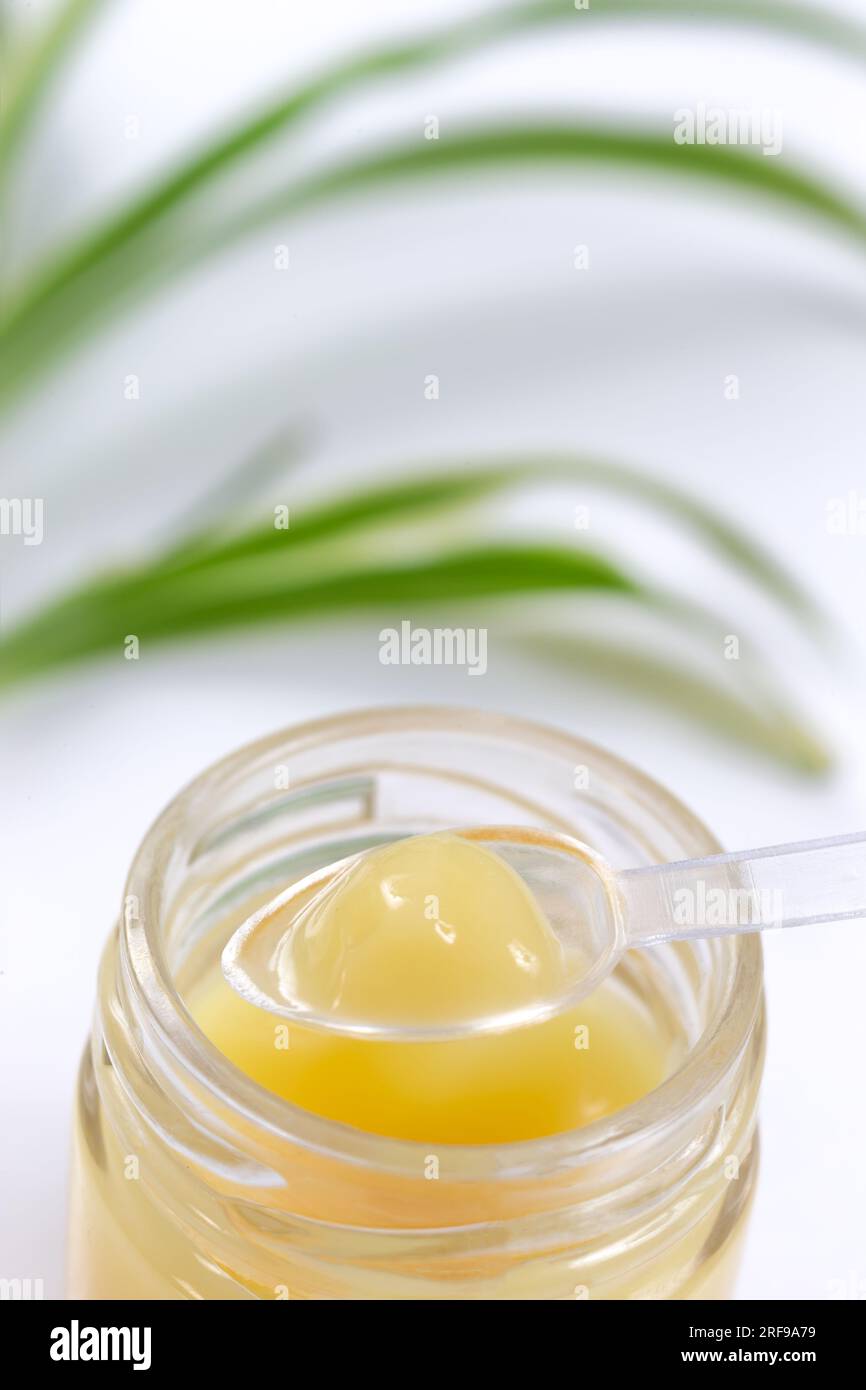 Spoon filled with royal jelly above the jar. Stock Photo