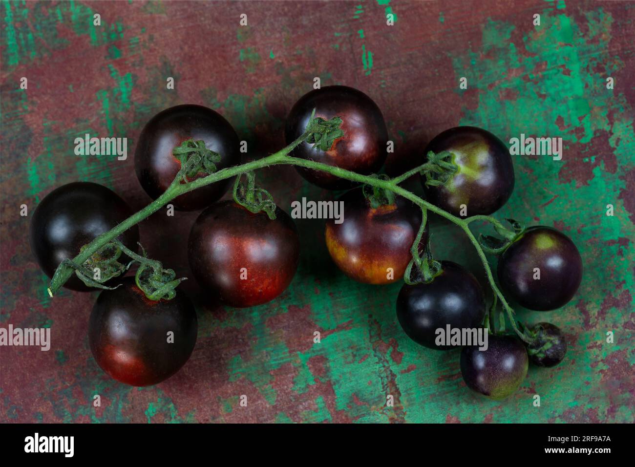 Yoom tomato hires stock photography and images Alamy