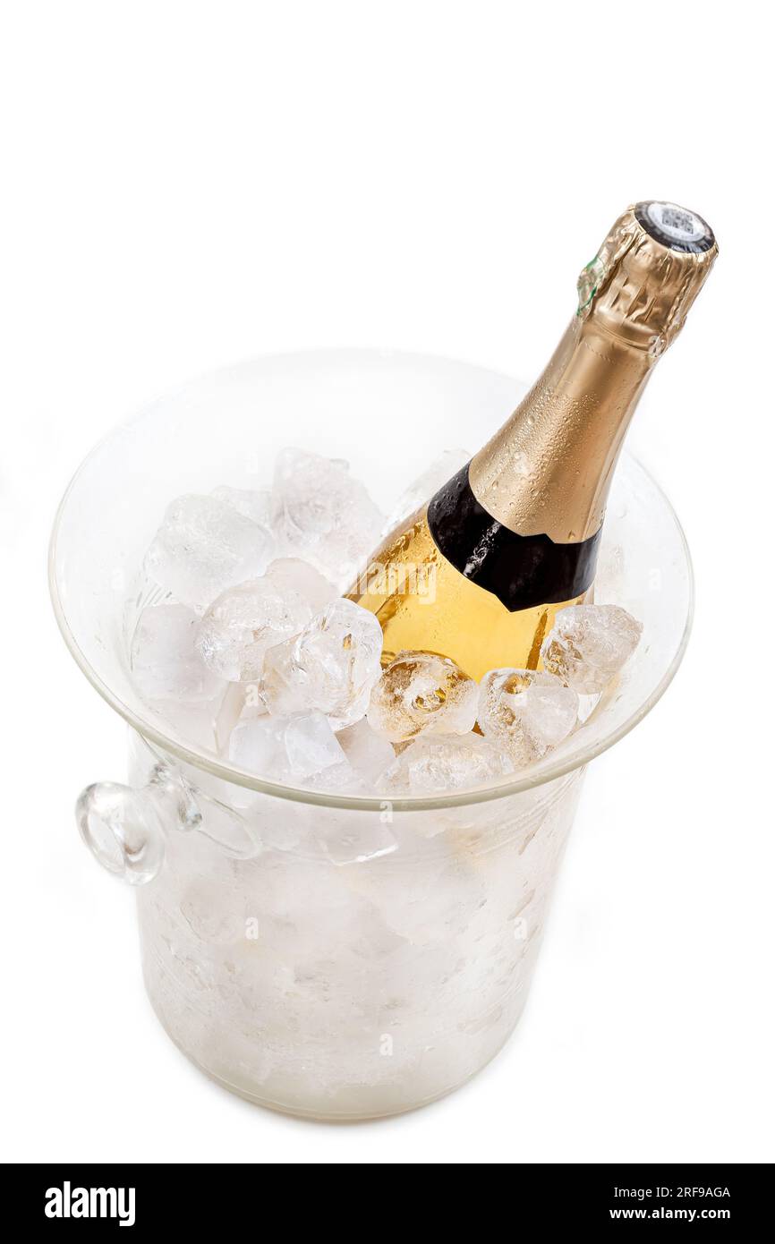 Bottle of champagne in an ice bucket Stock Photo Alamy