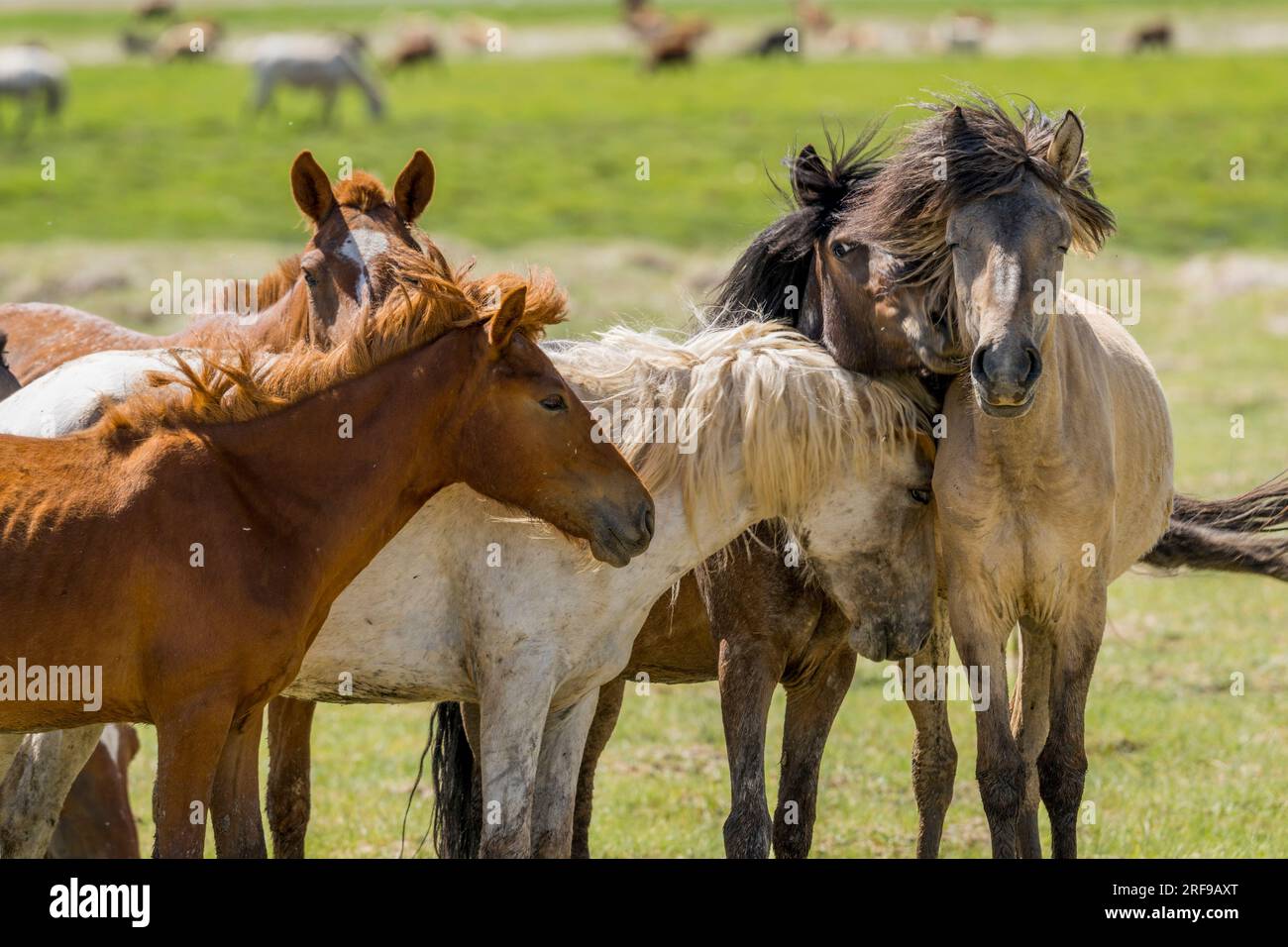 Largest town in the region hi-res stock photography and images - Alamy