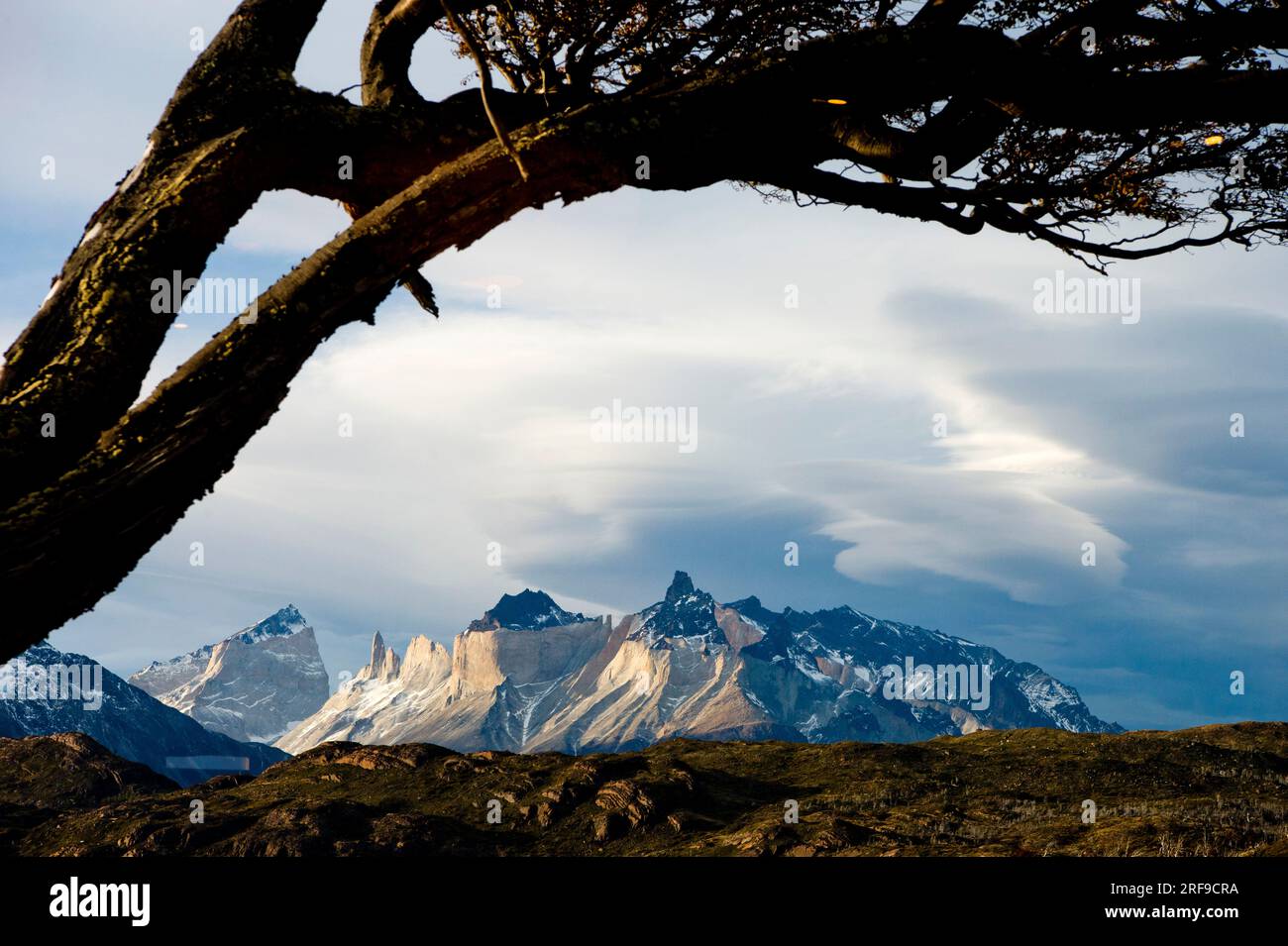 Paine Massif in Torres del Paine National Park Chile. Stock Photo