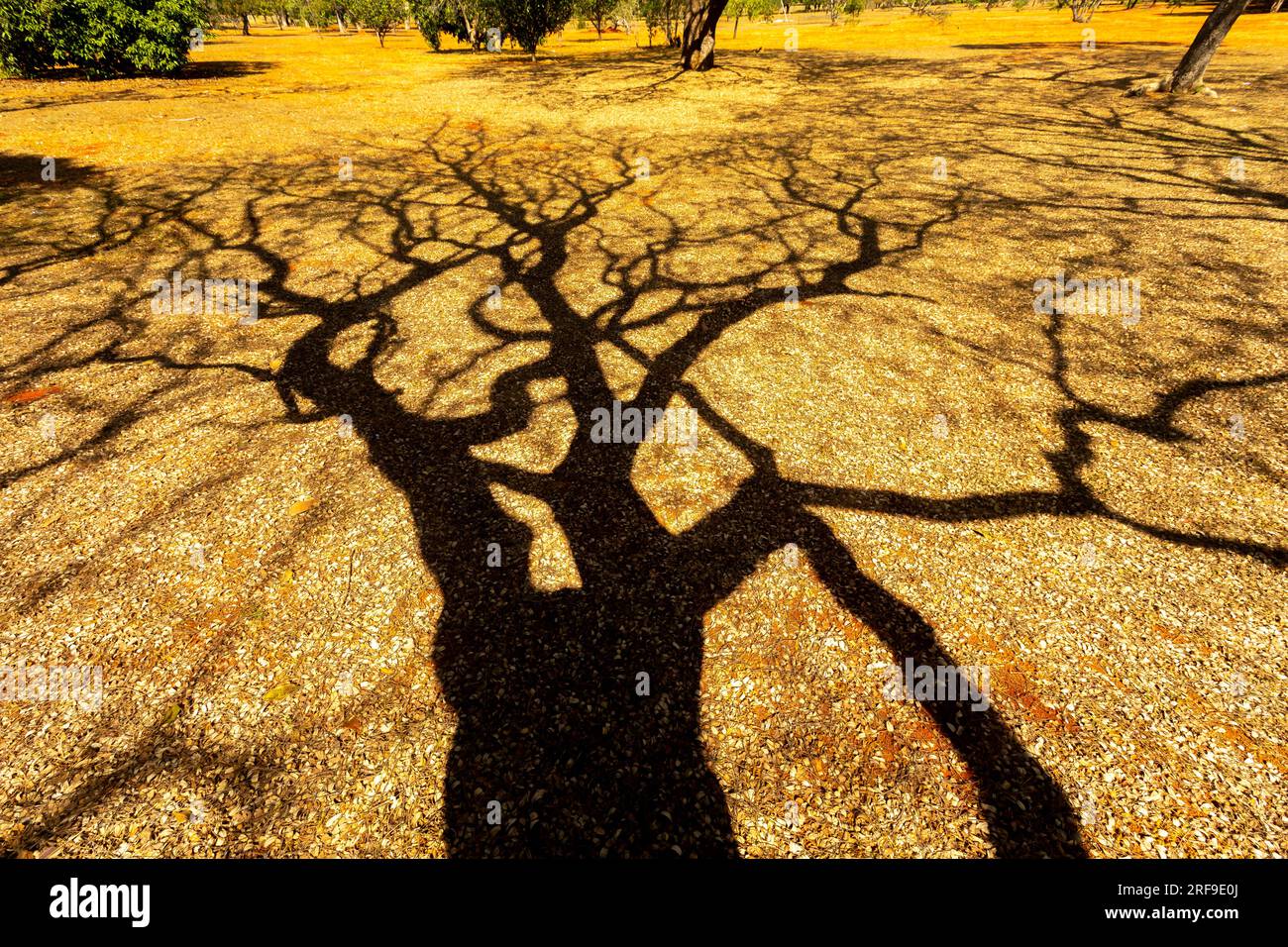Beautiful natural landscape with idyllic scenery for background Stock ...