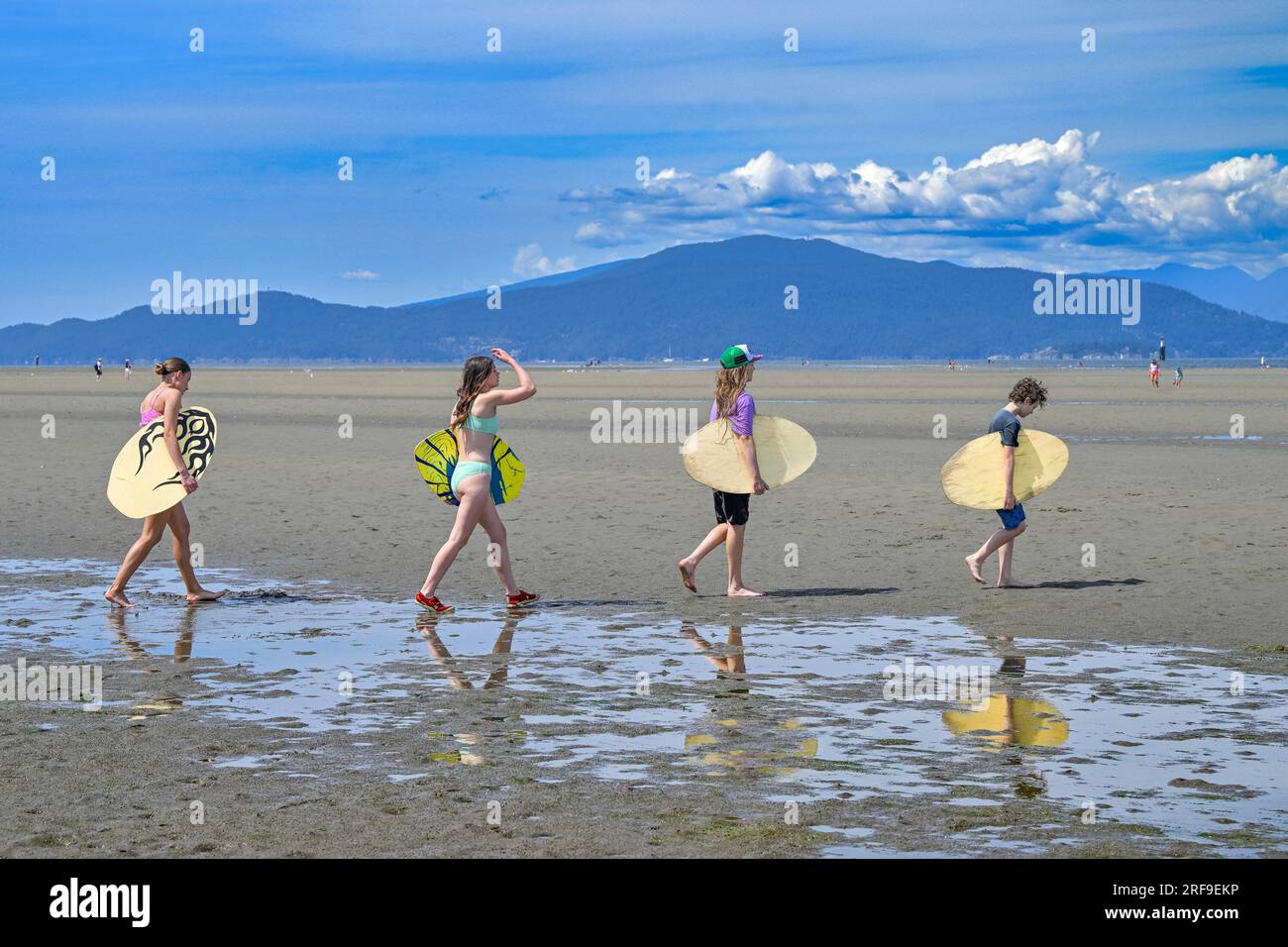 Skim boards hires stock photography and images Alamy