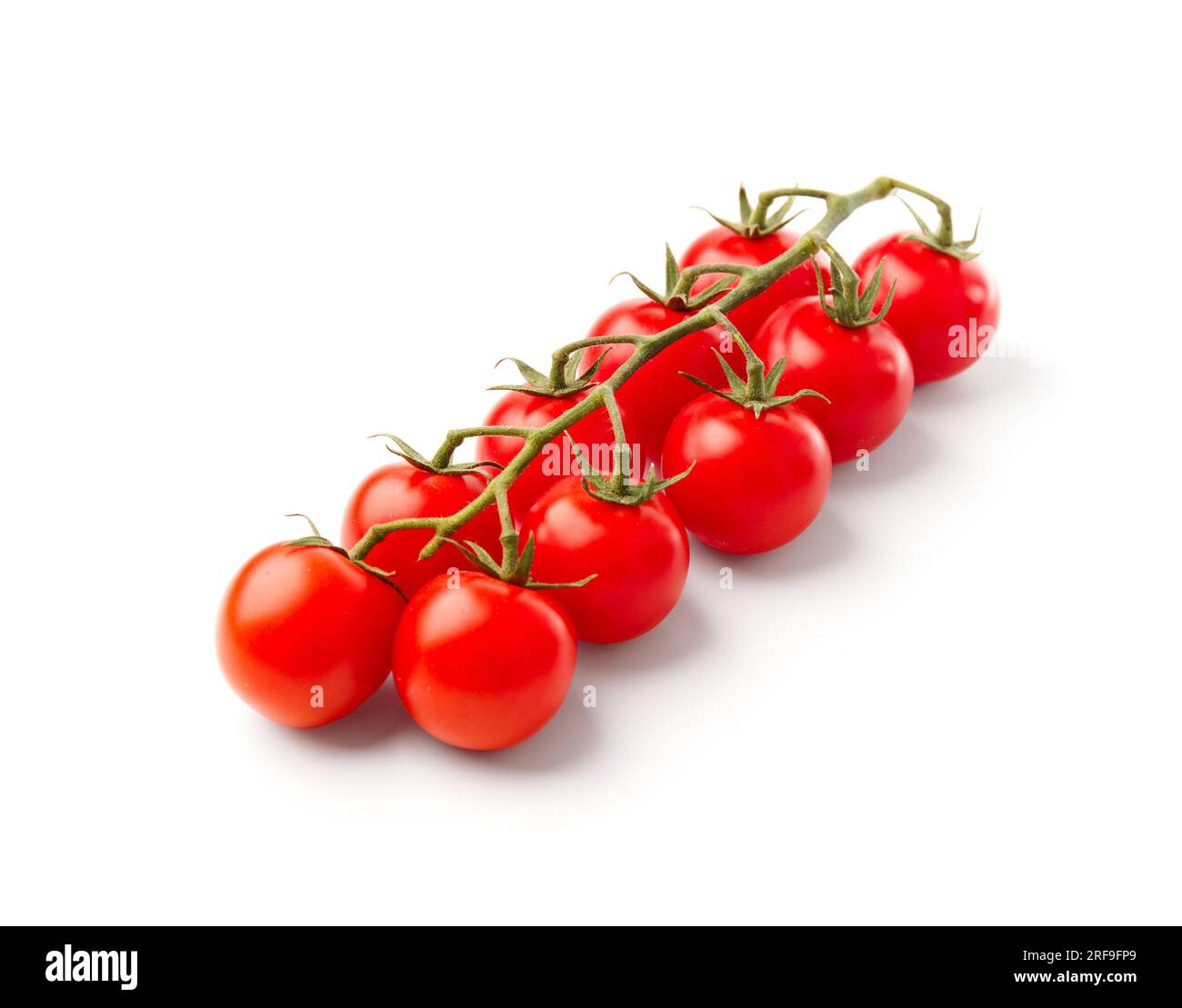 Ripe organic cherry tomatoes on a branch, isolated on white background ...