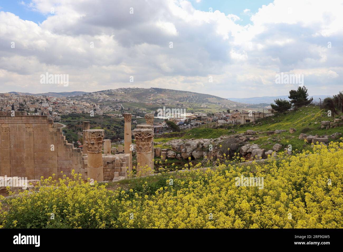 Jerash, Jordan : Ancient Rome city in the middle east (tourism in Jordan) and spring yellow flowers Stock Photo