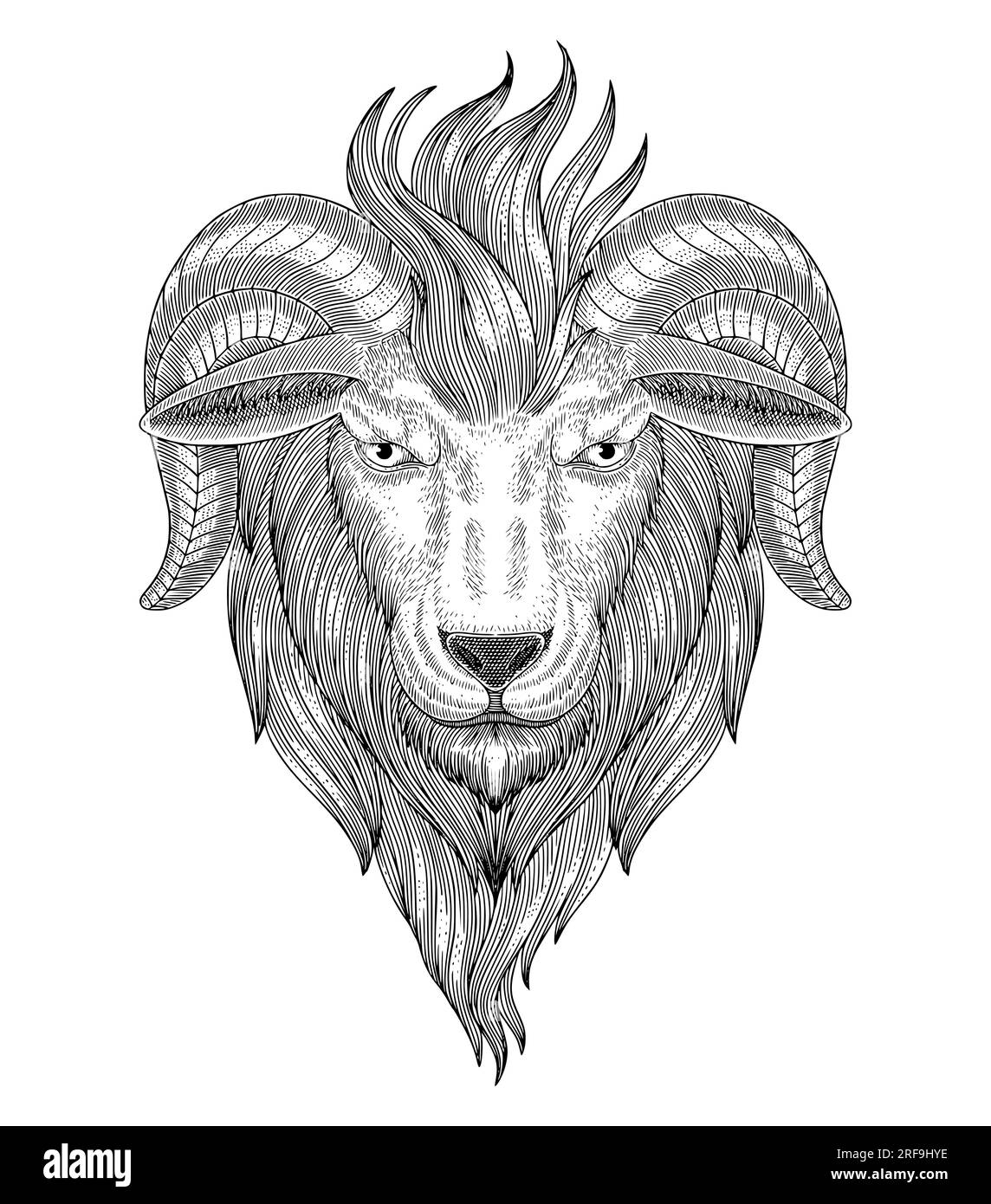 Goat head, vintage engraving drawing style vector illustration Stock