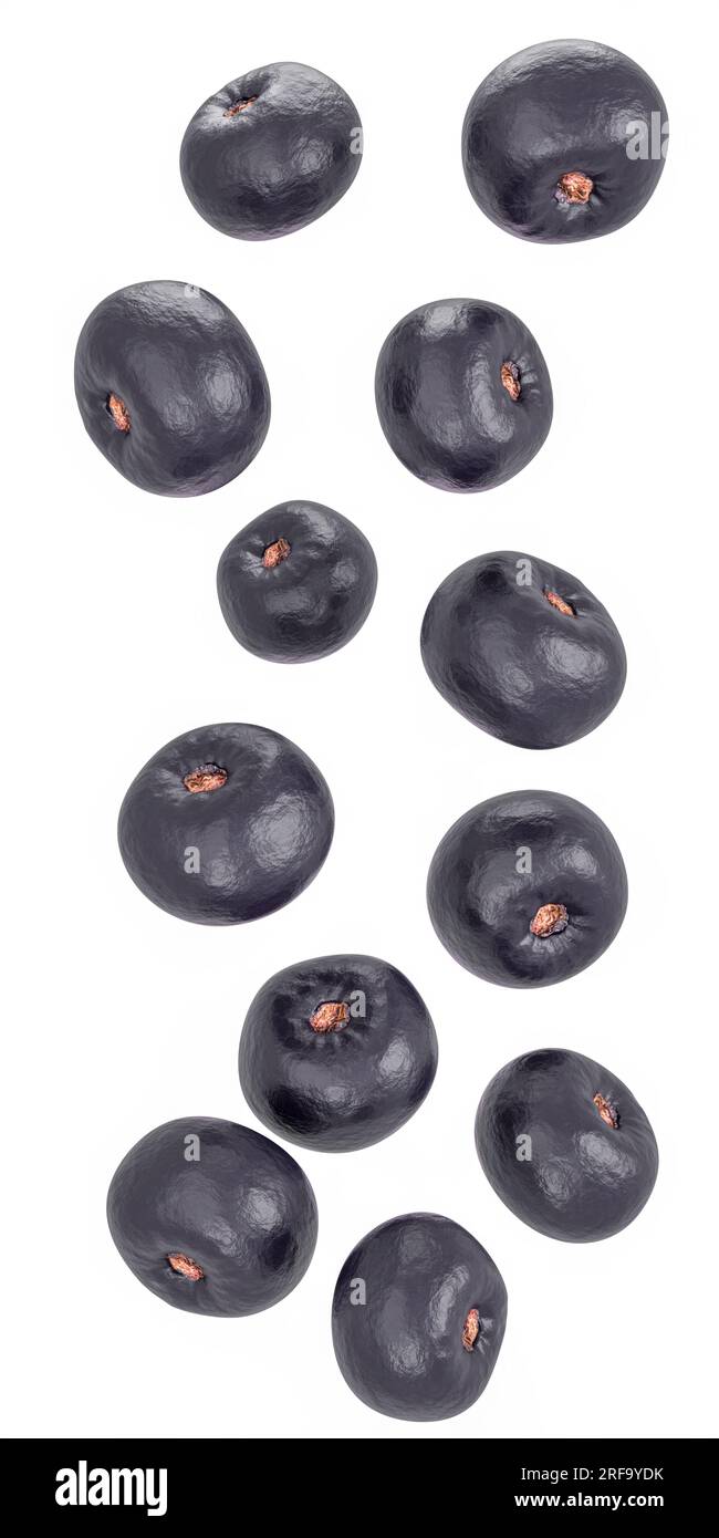 Falling (flying in the air) acai berries isolated on a white background. Whole fruit. Stock Photo