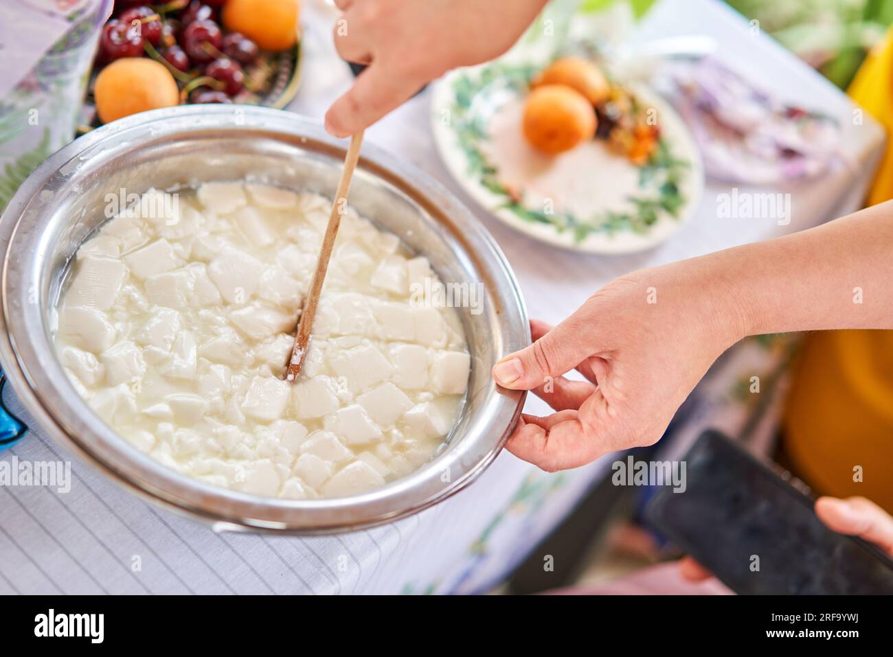 Master class and cheese tasting. Women make cheese. The enzyme and