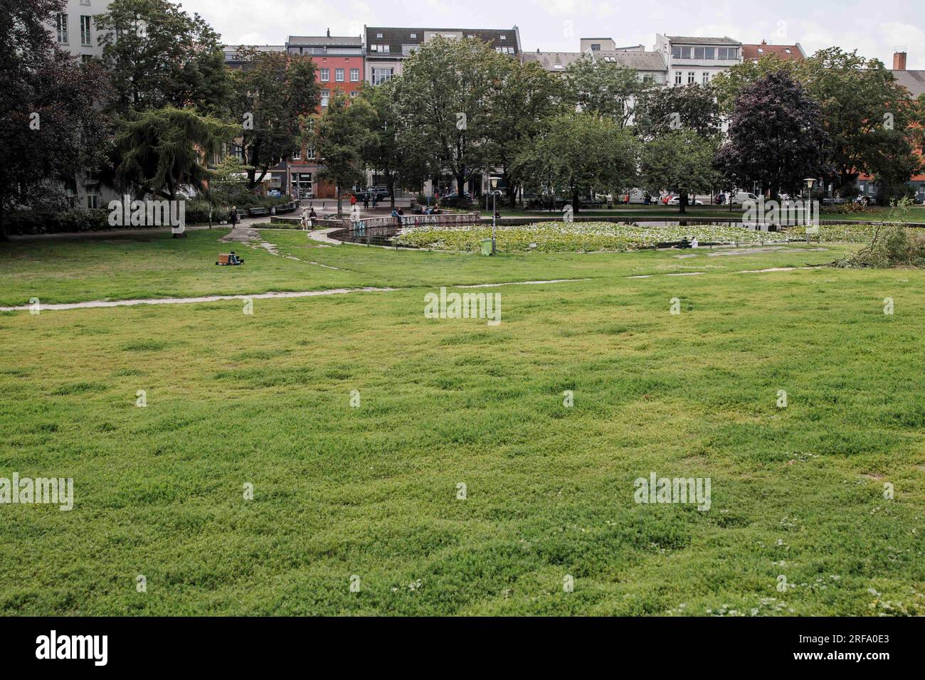 Berlin, Germany. 01st Aug, 2023. View over the meadow in Weinbergspark. The inspections by the regulatory authorities are concerned with violations of the Green Spaces Act and violations of the leash requirement for dogs. Credit: Carsten Koall/dpa/Alamy Live News Stock Photo